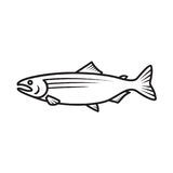 日本三文鱼简笔画