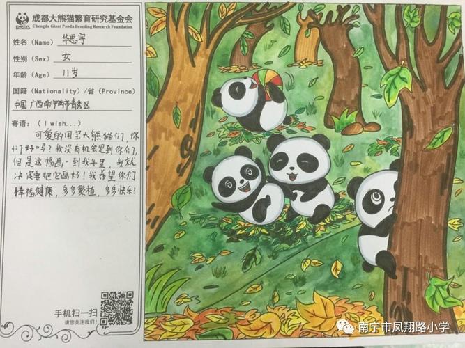 关爱大熊猫 我们在行动