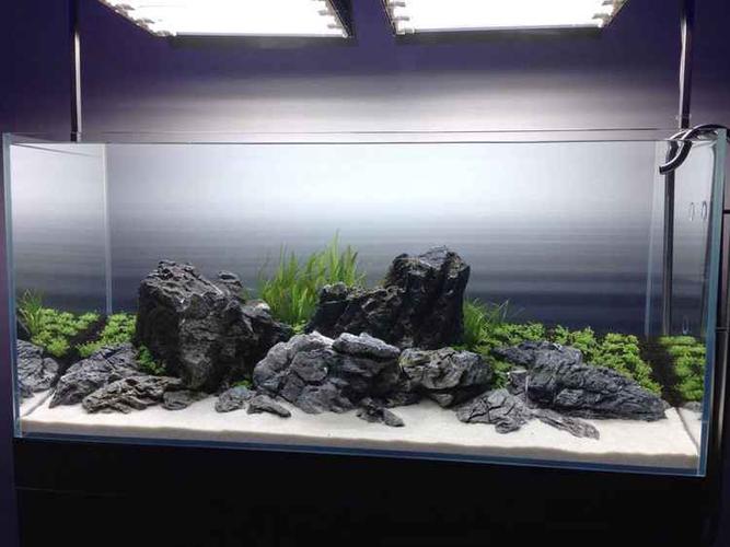 120cm简约青龙石水草造景缸欣赏