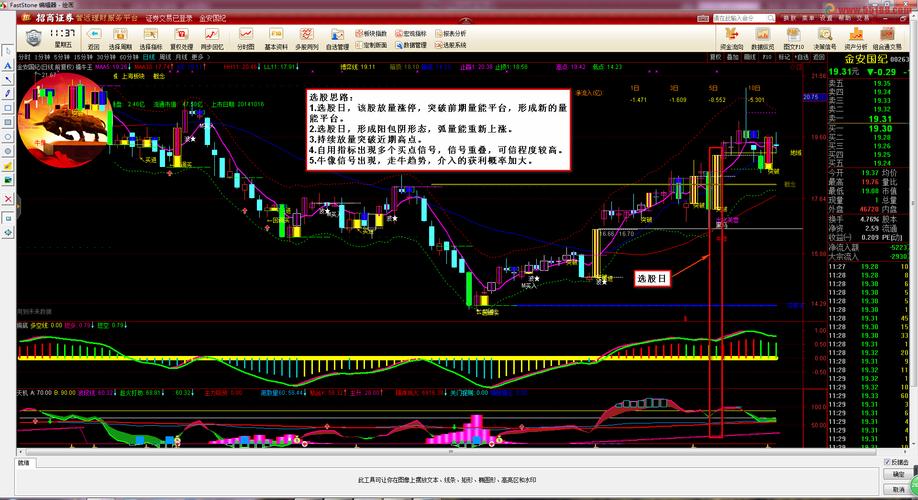 19-.07.25)第七名002636金安国纪思路分享
