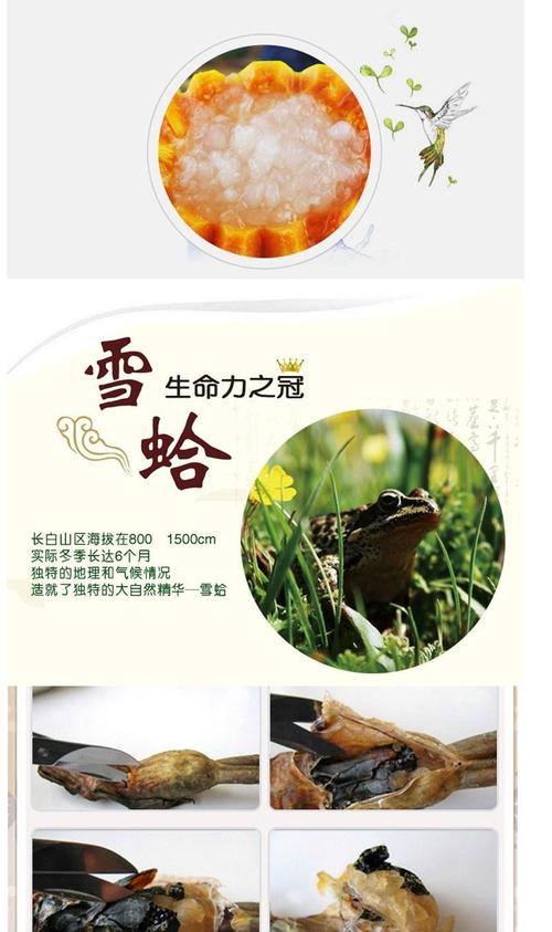 东北特产雪蛤长白山雪蛤油林蛙油雪蛤膏木瓜炖雪蛤 雪蛤10克