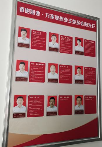 香榭丽舍·万家理想业主委员会挂牌仪式圆满完成