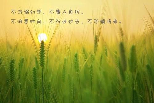 简短正能量语录,励志的句子致自己简短:不停止奔跑,不