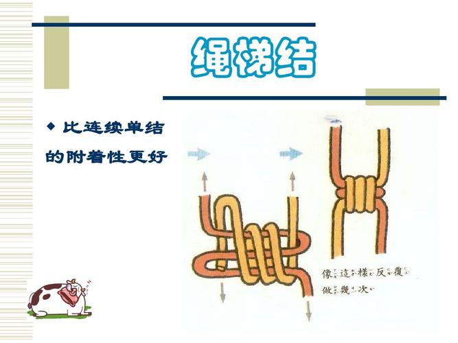 绳梯结   比连续单结 的附着性更好