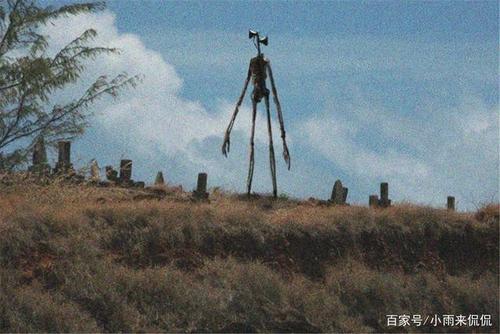 多人目睹警笛头伤害人类,这是真的吗?