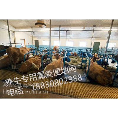 养牛专用地网/牛圈专用漏粪板厂家/养殖业专用漏粪板/玻璃钢地网