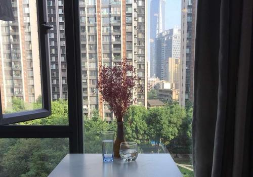 成都 锦江 九眼桥龙湖晶蓝半岛b区 8层