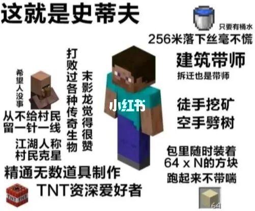 mc梗图,迷你狗,中立党勿入_素材_素材_素材其他