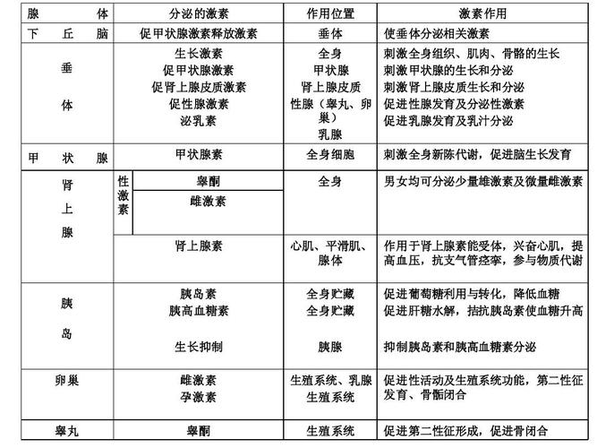 人体主要的内分泌腺及分泌激素的作用第一课时ppt
