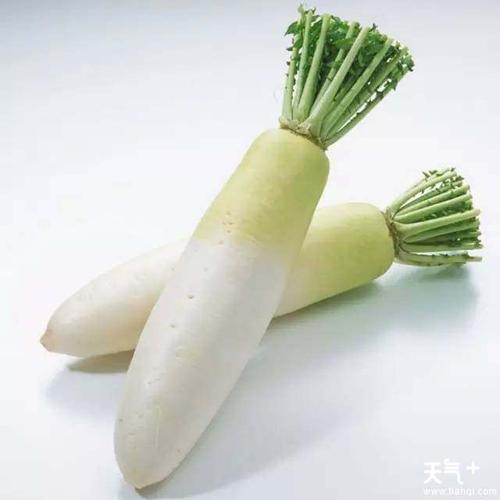 找准萝卜的吃法,效果和人参是一样一样的!