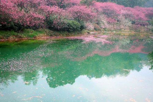 春节通用不加价!【长兴桔子酒店&花溪谷景区】39.