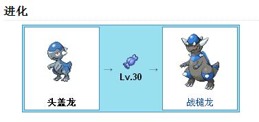 口袋妖怪白金光头盖龙进化图片