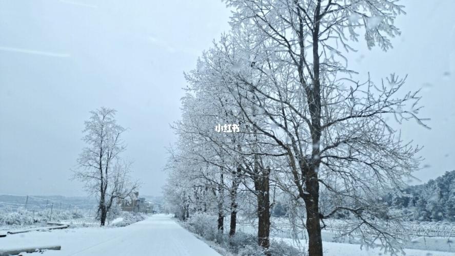 初雪_雪景_雪_出行_出行其他