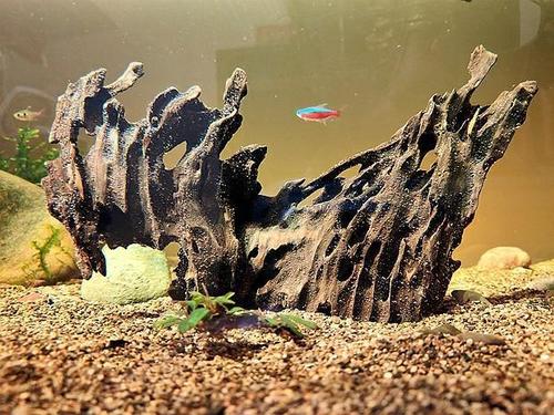 沉木的处理,关于鱼缸造景沉木的问答