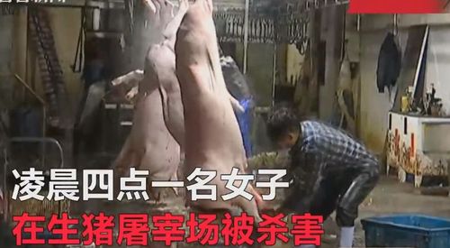 问题很多人在年轻的时候都曾幻想过,自己以后会找一个帅哥或者美女