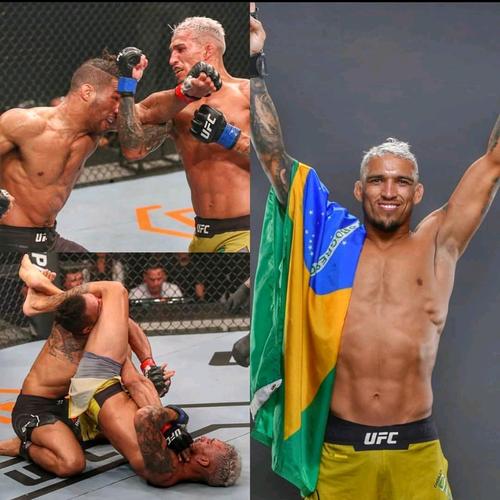 ufc轻量级选手巴西林志炫查尔斯奥利维拉ins照片自取