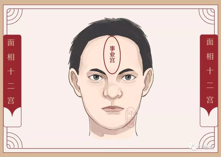 事业宫位于 额头正中间的位置
