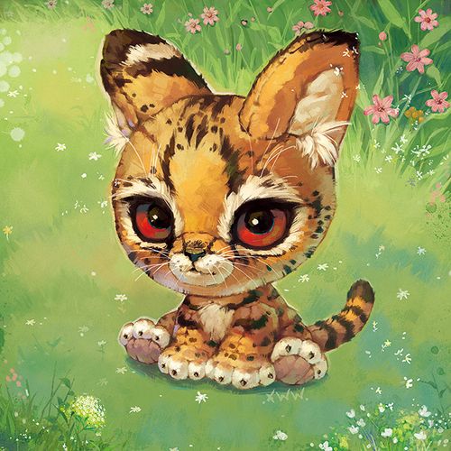 【野生cat集】大猫 狞猫猞猁 薮猫兔狲 虎狮豹