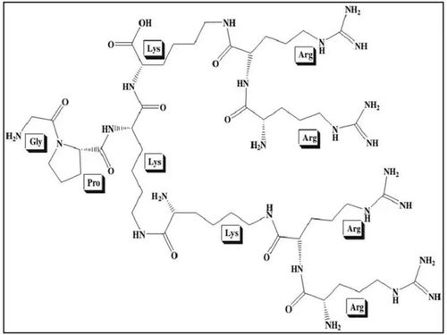 egcg和水飞蓟素的透皮递送:树枝状肽增强皮肤渗透性和