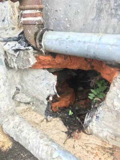 美丽县城建设工程质量及电信与煜恒土地争议 - 沧源县委书记 - 临沧市