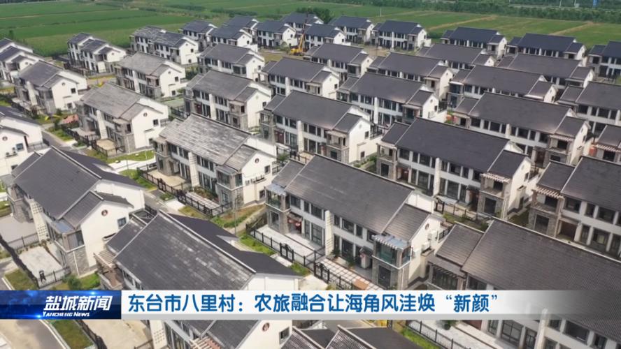 东台市八里村农旅融合让海角风洼焕新颜