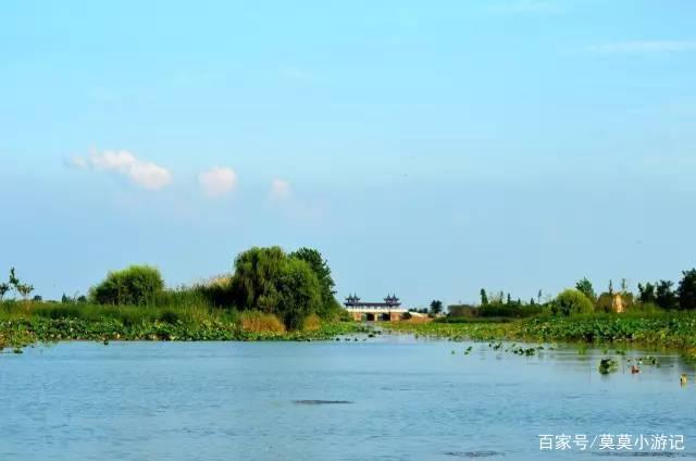 江苏宿迁泗洪洪泽湖,藏着五彩斑斓的颜色,金秋美景太