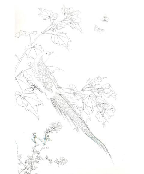 名画临习:芙蓉锦鸡图