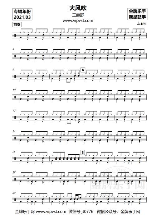 王赫野 - 大风吹 鼓谱(动态)15元