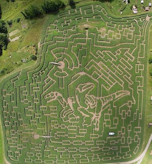 世界上最难走出来的迷宫,没有多少人能挑战成功