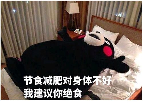 熊本熊节食减肥对身体不好我建议你绝食