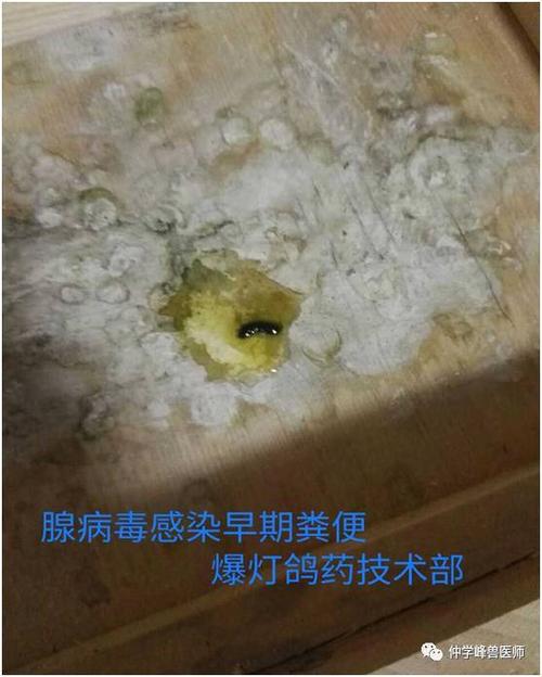 粪便多为绿色稀便.