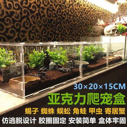 亚克力饲养盒_爬虫饲养盒_爬宠饲养盒_ 角蛙两栖饲养