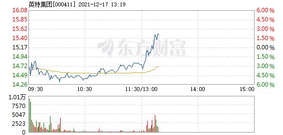 英特集团12月17日快速上涨