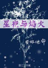 [hp]星夜与焰火