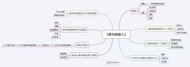 整本书《象与骑象人》的读书笔记思维导图如下