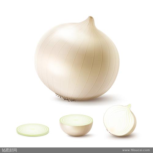 白色洋葱蔬菜矢量素材