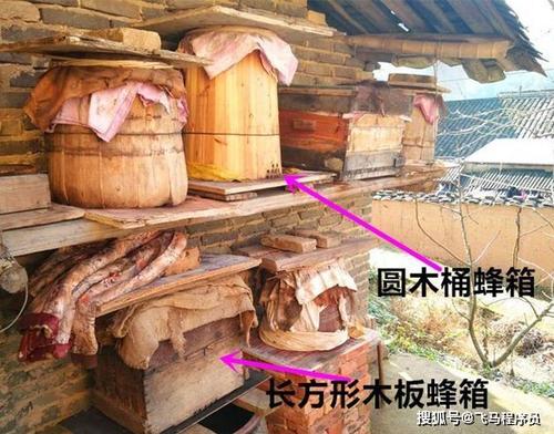 利用一树木,蜂箱就会冬暖夏凉