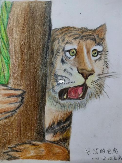 彩铅学员作品《惊讶的老虎》_彩铅_潭州教育怎么样_彩铅画_文化_绘画