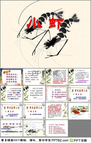 小虾ppt课件下载