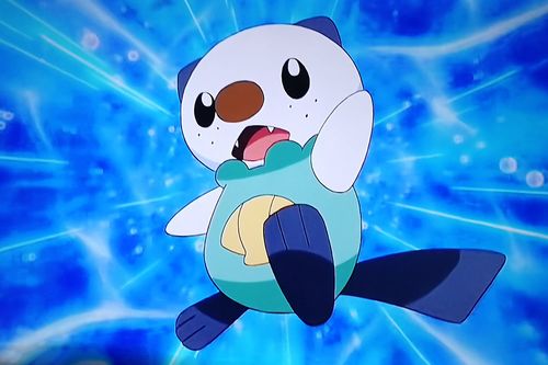 神奇宝贝,御三家,小智,精灵宝可梦:超级愿望,藤藤蛇,水水獭