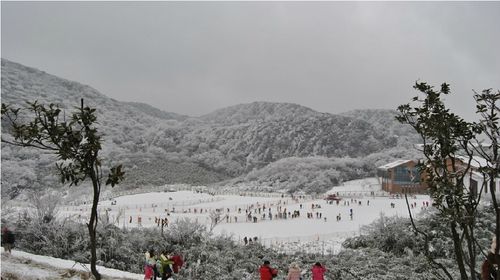 玩不啦景点门票 陕西门票 蓝田门票 竹林畔滑雪场