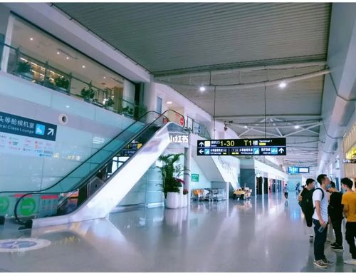 长沙-黄花机场98_休闲玩乐_酒店_长沙南站_阅读_疫情_辣椒酱_汽车