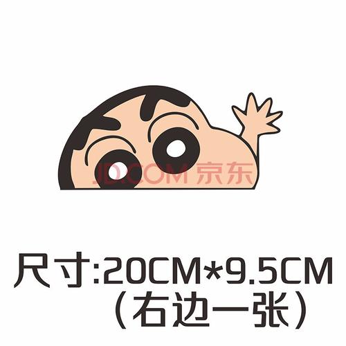 5cm(右边一张)