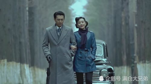 靳东,王鸥出演《伪装者》