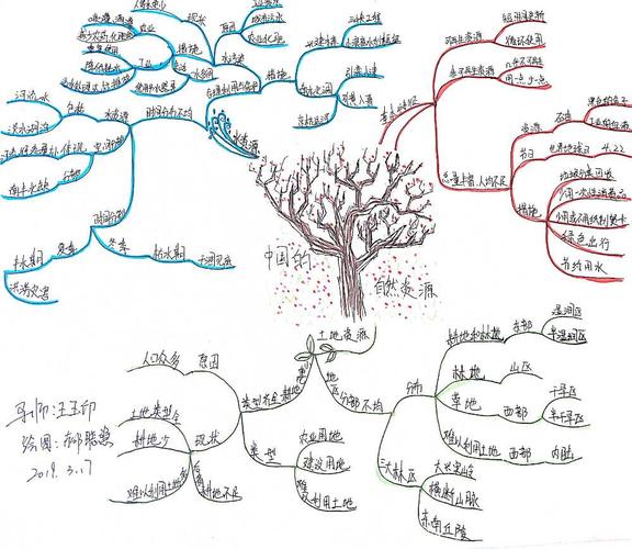 【东方神舵】思维导图武林计划第九季郝聪慧no. 29《自然资源》