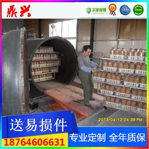 菌种灭菌灶图片_贵州菌种灭菌灶