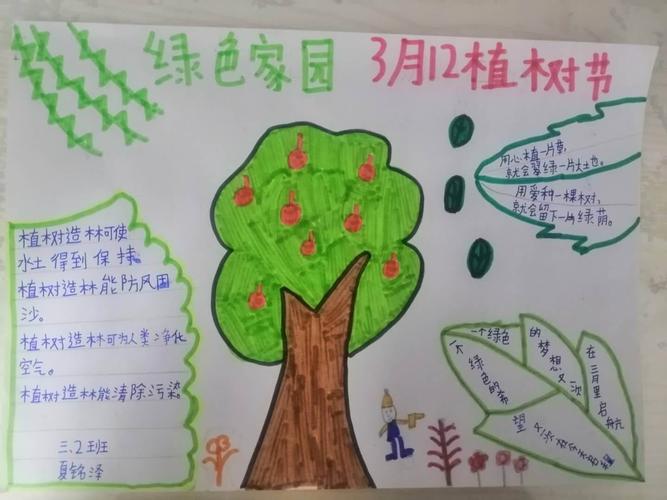植树节手抄报