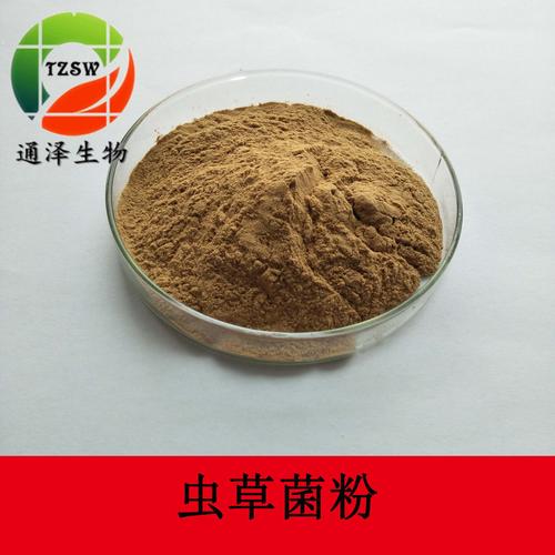 发酵虫草菌丝粉 虫草提取物 蝙蝠蛾拟青霉菌粉 虫草菌