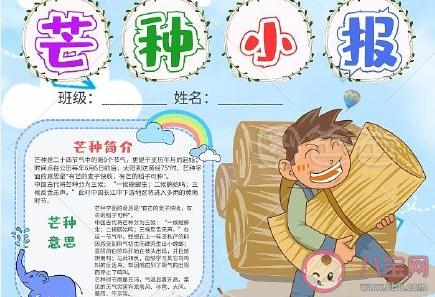 二十四节气芒种手抄报图片模板简单漂亮的芒种手抄报