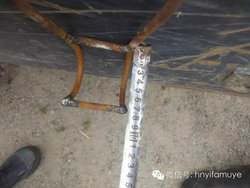 【 视角 】自制仔猪阉割架,看了视频你也学得会